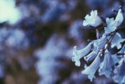 夢(mèng)游菜地，一場(chǎng)與自然的對(duì)話，夢(mèng)游菜地，與自然的對(duì)話之旅