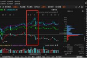 祥源文旅非經(jīng)營性資金占用雖已歸還，但仍被出具警示函！