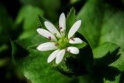 夢(mèng)到家中親人離世，心靈的觸動(dòng)與思考，夢(mèng)中親人離世的心靈觸動(dòng)與思考