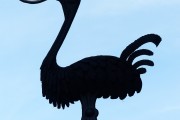 夢(mèng)中的蛇咬人，解讀與解析，夢(mèng)中的蛇咬人，解讀與解析
