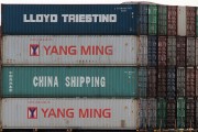流量費(fèi)網(wǎng)站的崛起與影響，流量費(fèi)網(wǎng)站的發(fā)展與趨勢(shì)，對(duì)消費(fèi)者和運(yùn)營(yíng)商的影響