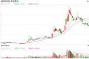 操縱股票！金運激光實控人被判4年