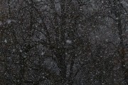 夢中雪舞，心靈的洗禮，夢中雪舞，心靈的洗禮