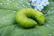 綠色環(huán)保，從注冊(cè)綠色開始—綠色平臺(tái)注冊(cè)指南，綠色注冊(cè)，開啟環(huán)保之旅——綠色平臺(tái)注冊(cè)攻略