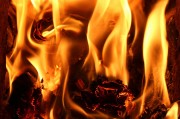行尸走肉游戲免費(fèi)下載，讓你在末日中找尋生存之道，高清免費(fèi)的行尸走肉游戲大放送，末世求生必備神器