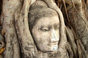 游戲中的情感釋放，憤怒與自由，深度解析，游戲中的情感釋放、憤怒與自由