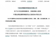 因涉嫌信息披露違法違規(guī)，先鋒新材及總經(jīng)理盧先鋒被立案