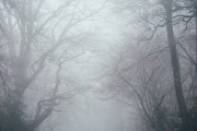 夢境中的奇妙之旅，一次關(guān)于屎的夢境解析，夢境中的奇幻之旅，屎的夢境解析
