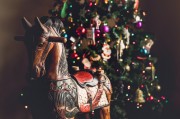 夢(mèng)境中的雙兔之舞，夢(mèng)境中的雙兔之舞的奇幻之旅