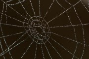 Unity開發(fā)的概述，Unity，創(chuàng)建3D游戲和應(yīng)用程序的強大工具