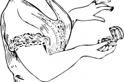 女人夢(mèng)到黑蛇，解讀與解析，女人夢(mèng)到黑蛇，解讀與解析