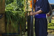 能在掙錢的免費(fèi)農(nóng)場游戲中生存下去嗎？，逃脫農(nóng)地，自由農(nóng)場生存挑戰(zhàn)