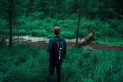 憤怒的小鳥2免費(fèi)游戲，開啟你的綠色飛行之旅