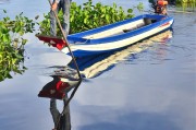 夢中魚游——一場關于小魚的夢境之旅，夢中魚游，一場關于小魚的夢境之旅