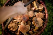 解析夢(mèng)境中的拉屎象征意義，解析夢(mèng)境中的拉屎象征意義