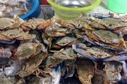 夢中奇遇，螃蟹與魚的共舞，夢中奇遇，螃蟹與魚的共舞