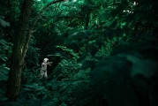 夢境中的你，一場奇妙的套路之旅，夢境中的奇妙套路之旅