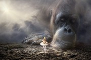 夢中的預(yù)言者——一次奇妙的算命夢，夢中的預(yù)言者，奇妙的算命夢之旅