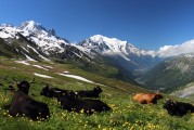 自由的纜車(chē)上山之旅，纜車(chē)旅行，一次自由探索山區(qū)的美妙體驗(yàn)