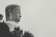 夢中與母親爭吵的反思，夢中與母親爭吵的深度反思