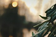 漫漫的ACG之路，尋找和熱愛(ài)的那份樂(lè)趣，ACG之路上，探索與熱愛(ài)的樂(lè)趣