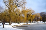 夢(mèng)到雪的寓意與解讀，夢(mèng)到雪的寓意與象征解讀