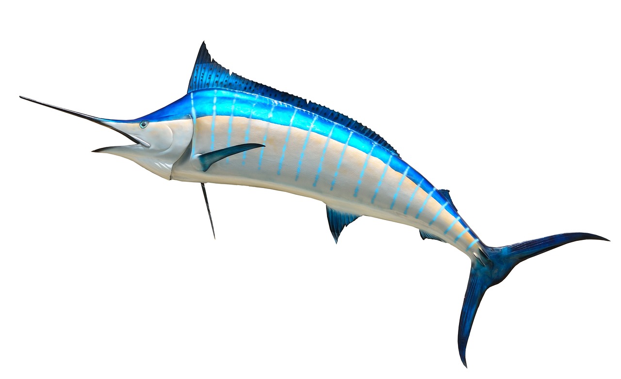 無(wú)限制的海洋冒險(xiǎn)，游戲釣魚(yú)免費(fèi)下載體驗(yàn)