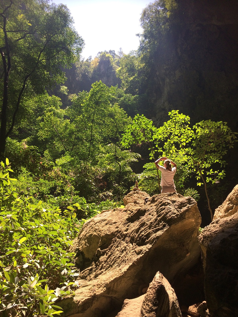 山路之夢，探索未知的旅程