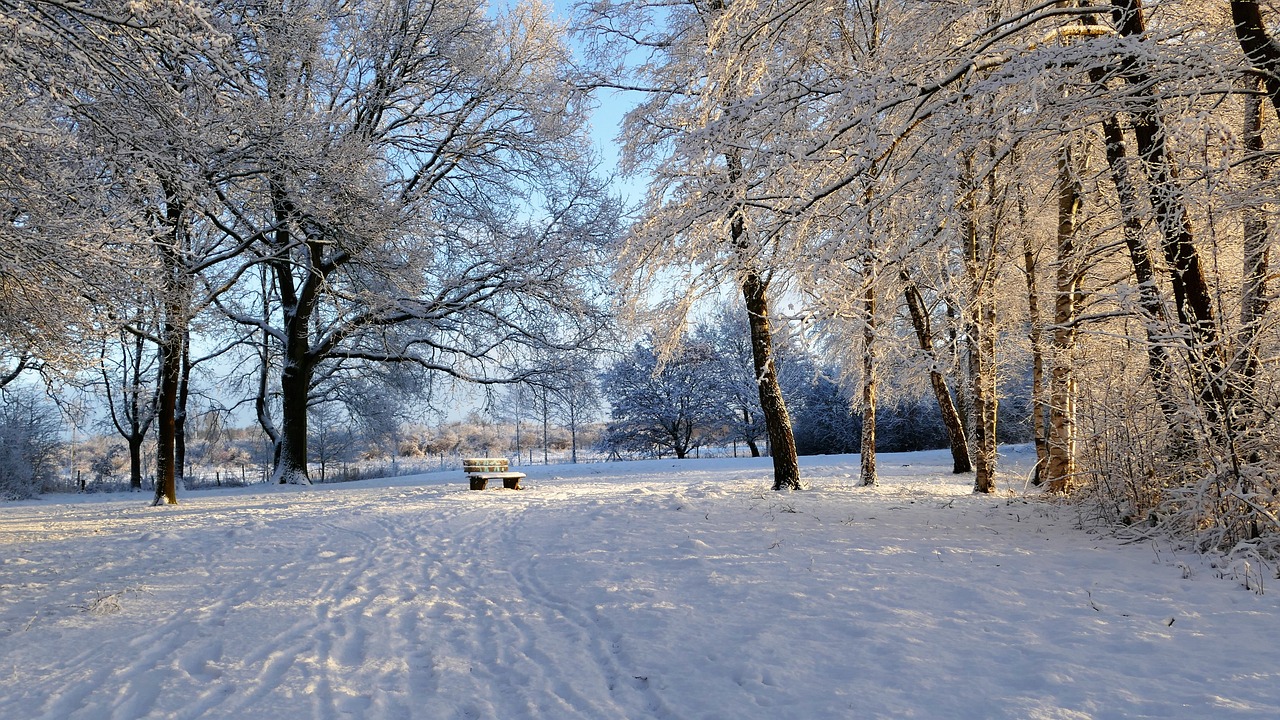冰雪奇緣游戲——讓你置身于一個全新的冰雪世界！