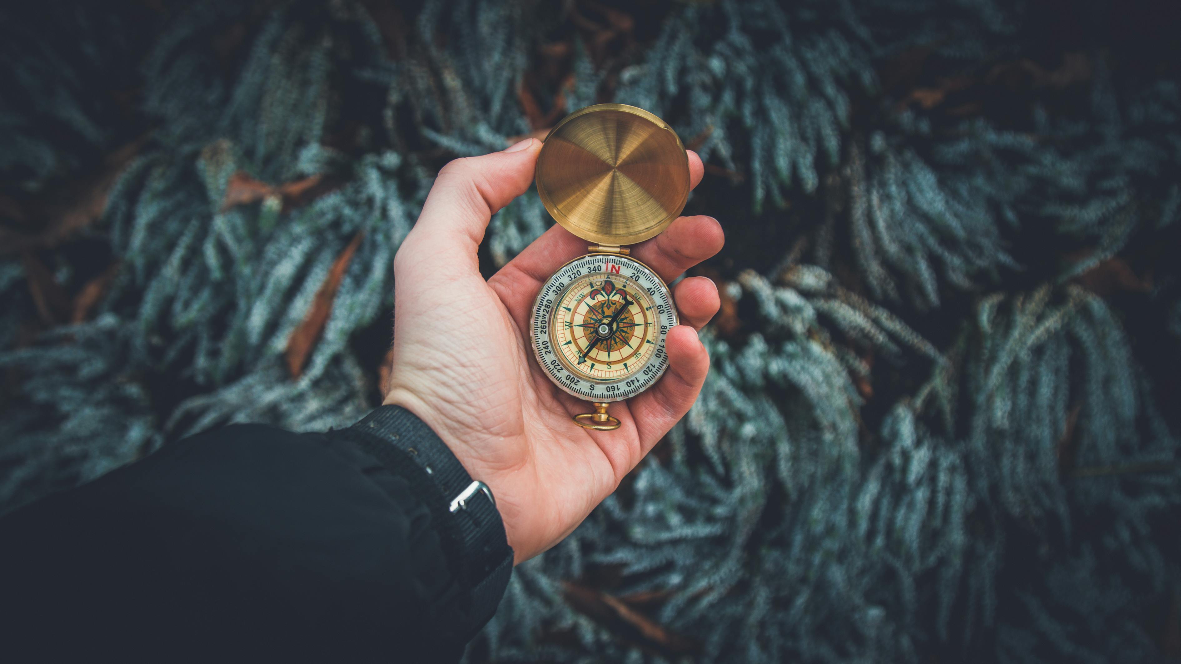 金夢之緣，一場關(guān)于撿金子的夢境探索