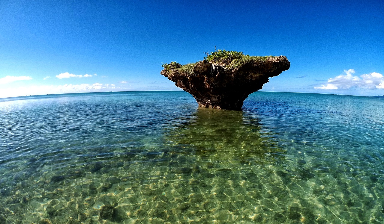 鯊魚游戲免費下載，帶你體驗最真實的海洋世界