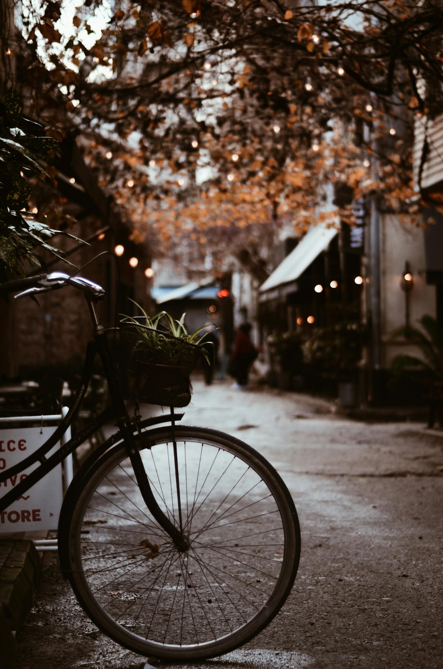 夢(mèng)中的電車之旅，一次難忘的騎行體驗(yàn)
