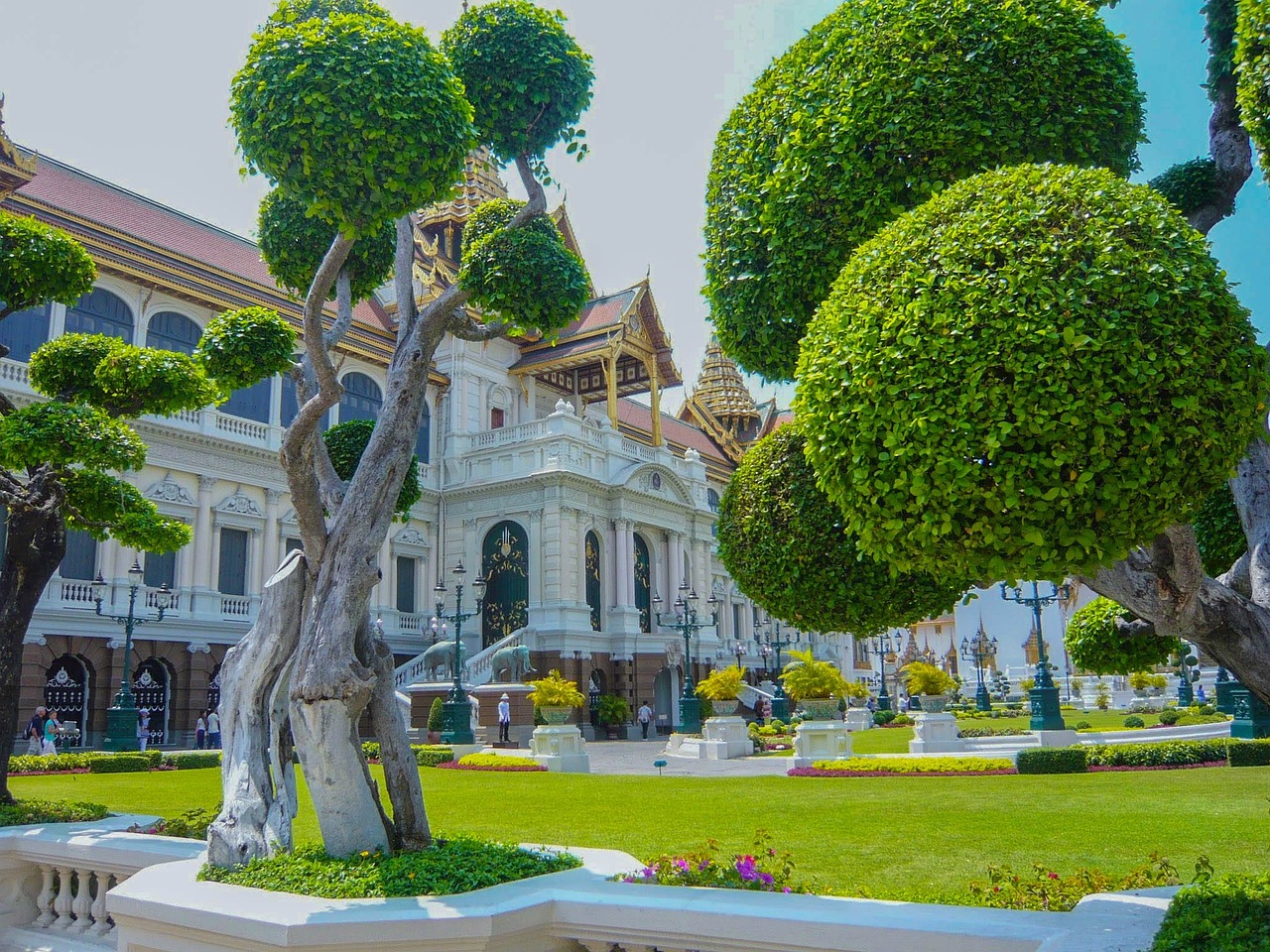 夢(mèng)中的李子樹，一段心靈的旅程