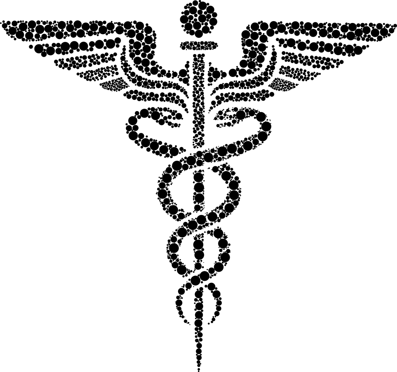 夢(mèng)中的蛇影，解析頻繁夢(mèng)見蛇的神秘現(xiàn)象