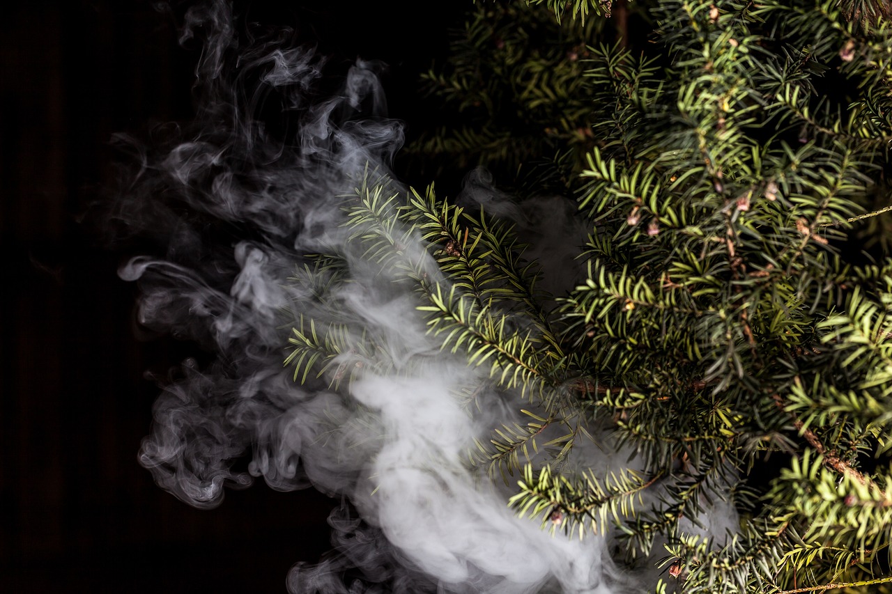 蒸汽朋克風(fēng)格的植物大戰(zhàn)僵尸，植物刺客，一款無需付費(fèi)的游戲