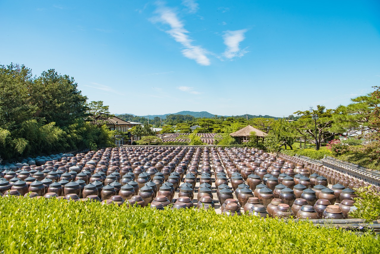 打造空中農田，讓夢想照進現(xiàn)實——免費種地游戲的探索與啟示