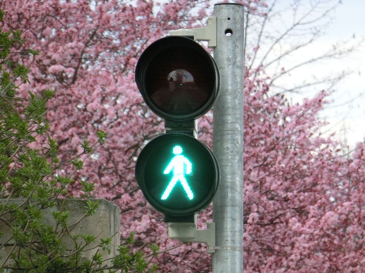 新車輪胎發(fā)黃的原因是什么？如何預(yù)防和處理這一問題？