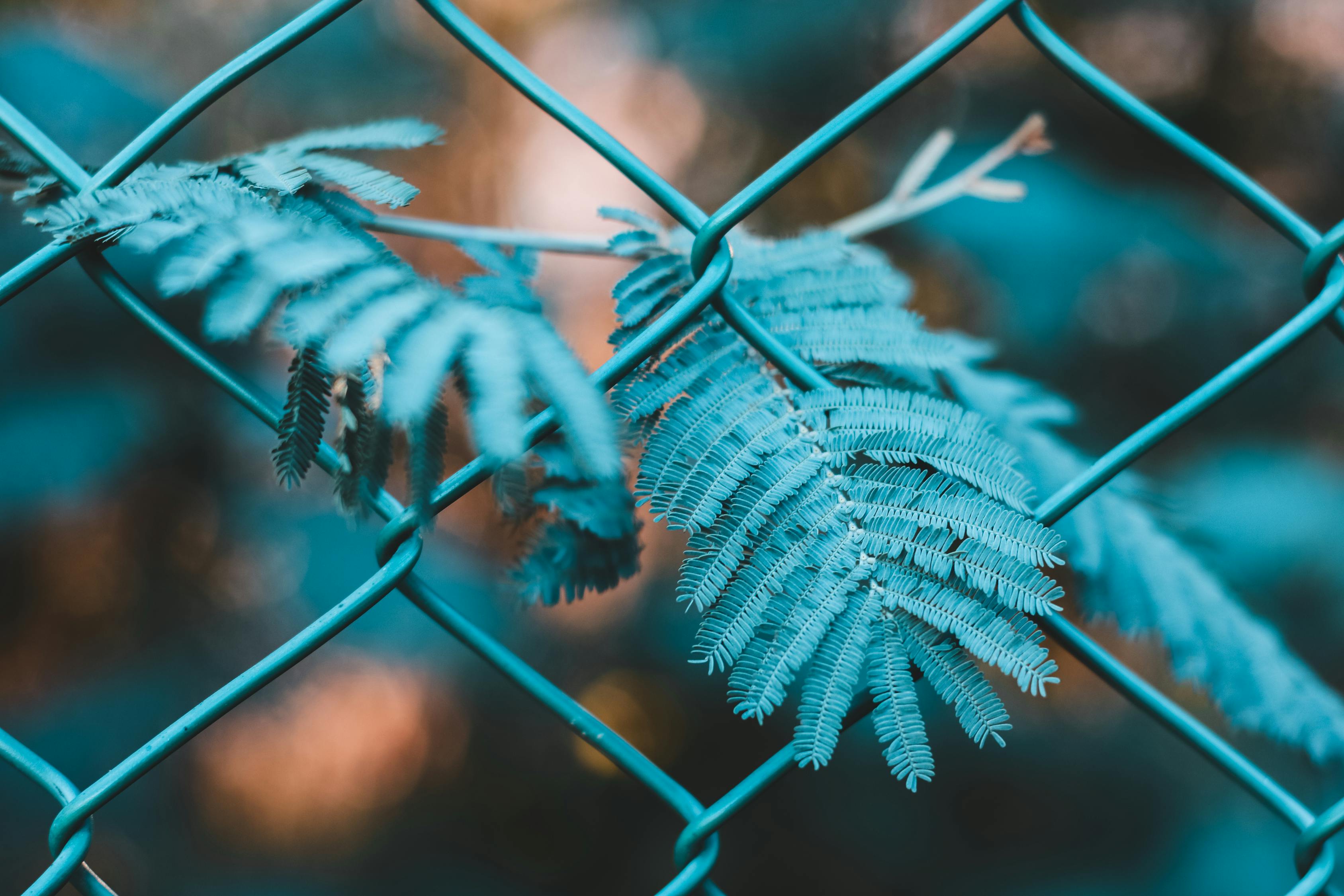 如何進(jìn)行有效的網(wǎng)站SEO優(yōu)化？
