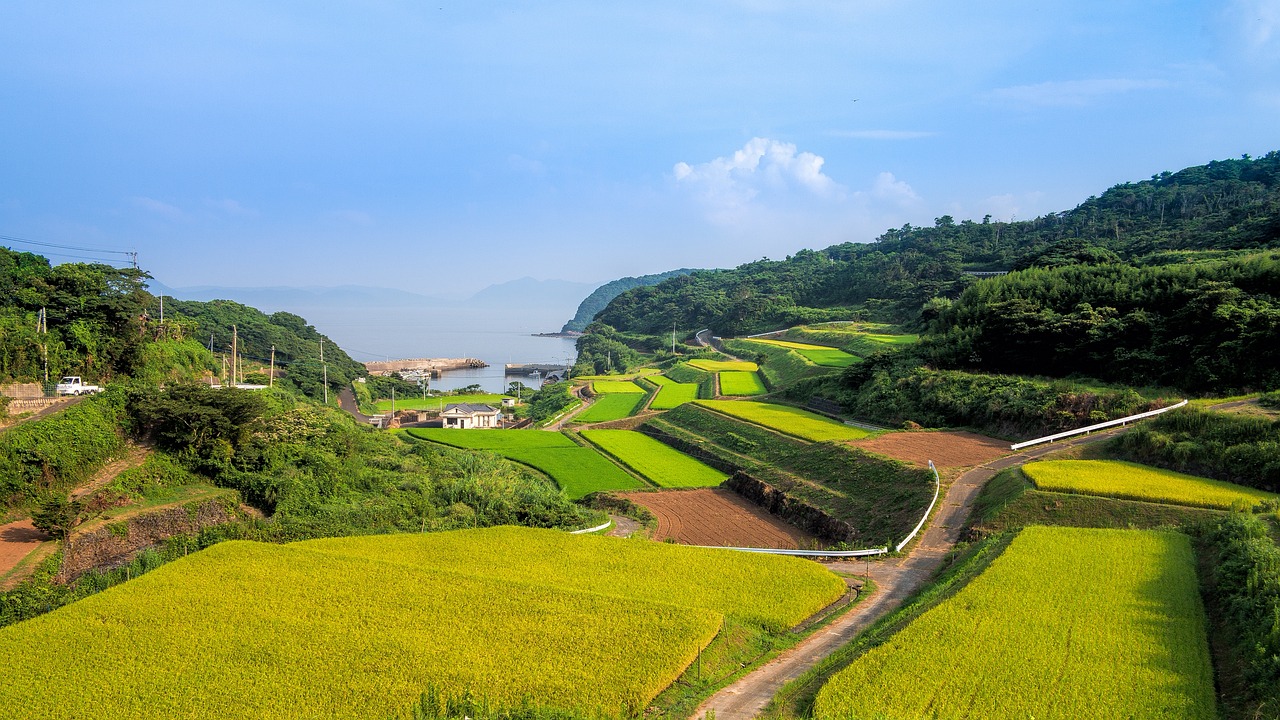 湘西網(wǎng)站流量，助力鄉(xiāng)村振興的數(shù)字引擎