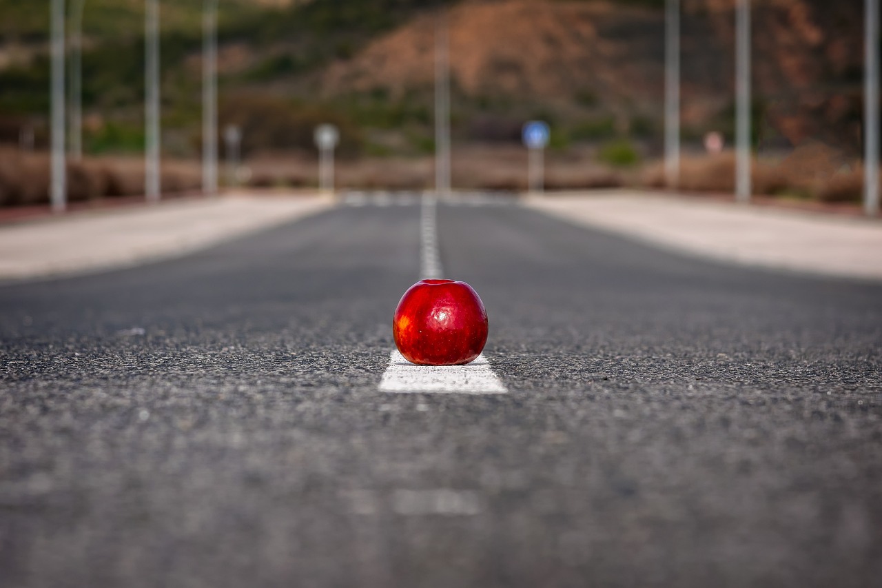從零開始學SEO，一步步走向成功的道路