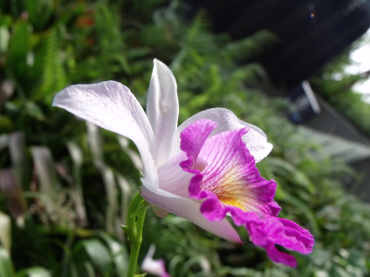 百合花凈利潤(rùn)預(yù)增超43% 需求回暖與子公司扭虧成關(guān)鍵驅(qū)動(dòng)