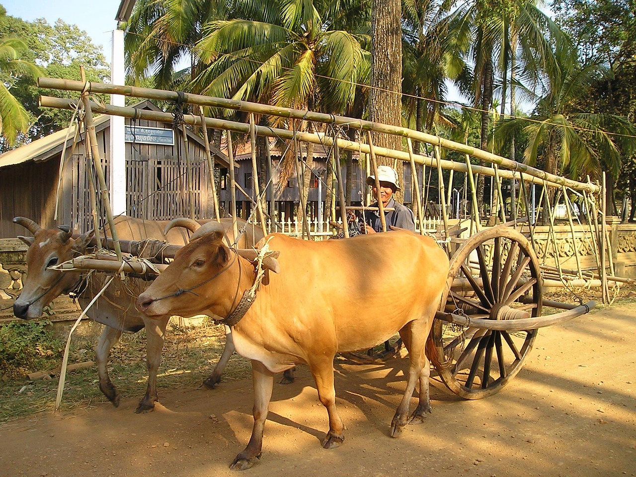石嘴山農(nóng)產(chǎn)品網(wǎng)站搭建，助力鄉(xiāng)村振興，打造區(qū)域特色品牌