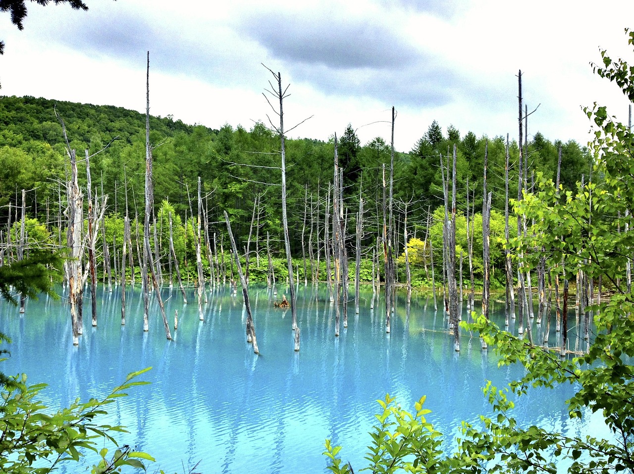 夢(mèng)中邂逅，那片美麗的風(fēng)景