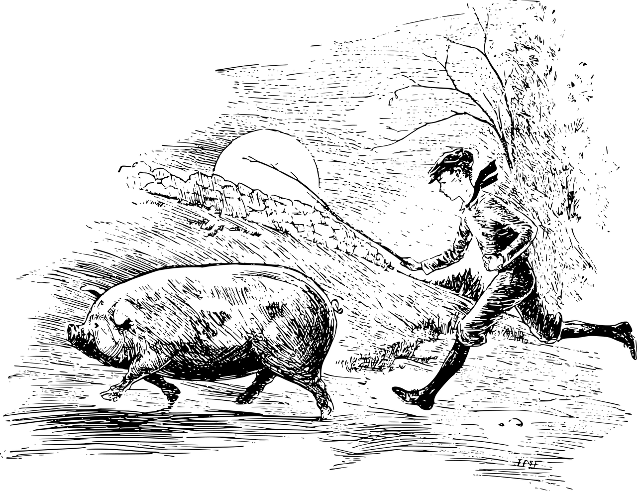 男人夢(mèng)到豬，寓意與解讀