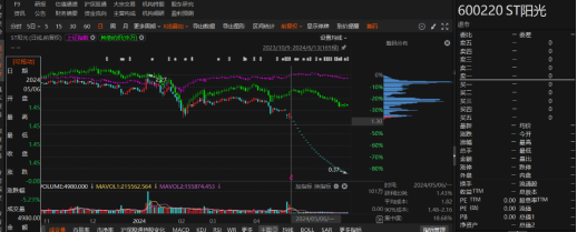 江蘇陽光有非經(jīng)營性資金占用和業(yè)績預(yù)告變臉！