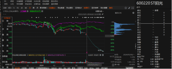 江蘇陽光有非經(jīng)營性資金占用和業(yè)績預(yù)告變臉！