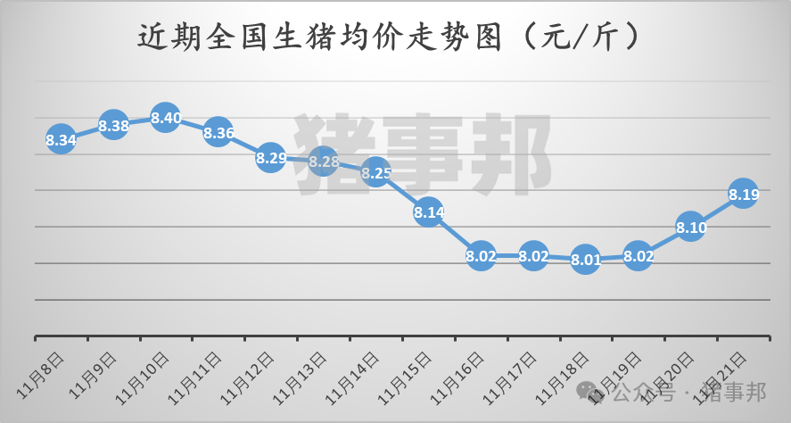 11月21日豬價(jià)匯總（繼續(xù)普漲，但情緒分化?。?></p>
<p><p style=