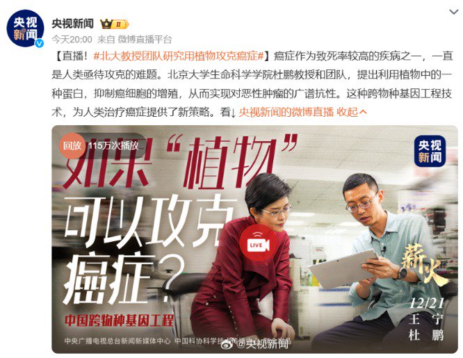 重大突破 央視重點(diǎn)報(bào)道！北大教授團(tuán)隊(duì)研究用植物攻克癌癥