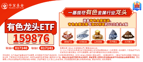 有色蓄勢(shì)高飛！有色龍頭ETF（159876）盤(pán)中逆市漲超3%！銅、金、鋁攜手上攻，北方銅業(yè)漲停封板