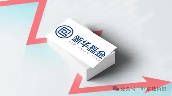 新華基金賴慶鑫在管7只基金6只虧損，高位持有國聯(lián)股份被質(zhì)疑